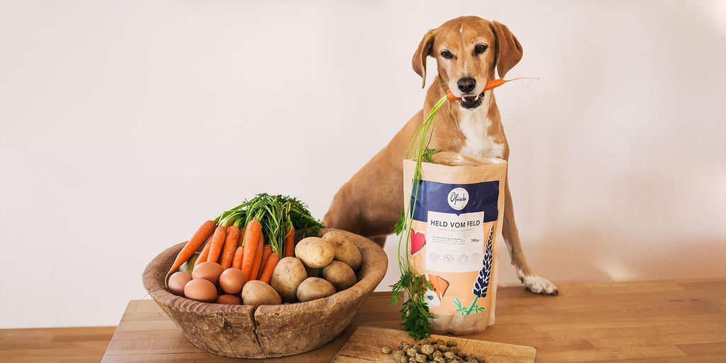 Vegetarisches und veganes Hundefutter - 4 erstaunliche Vorteile